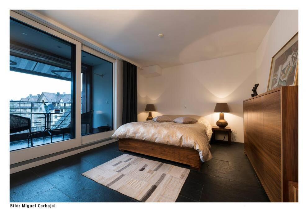 City, Lake And Luxury 苏黎世 外观 照片